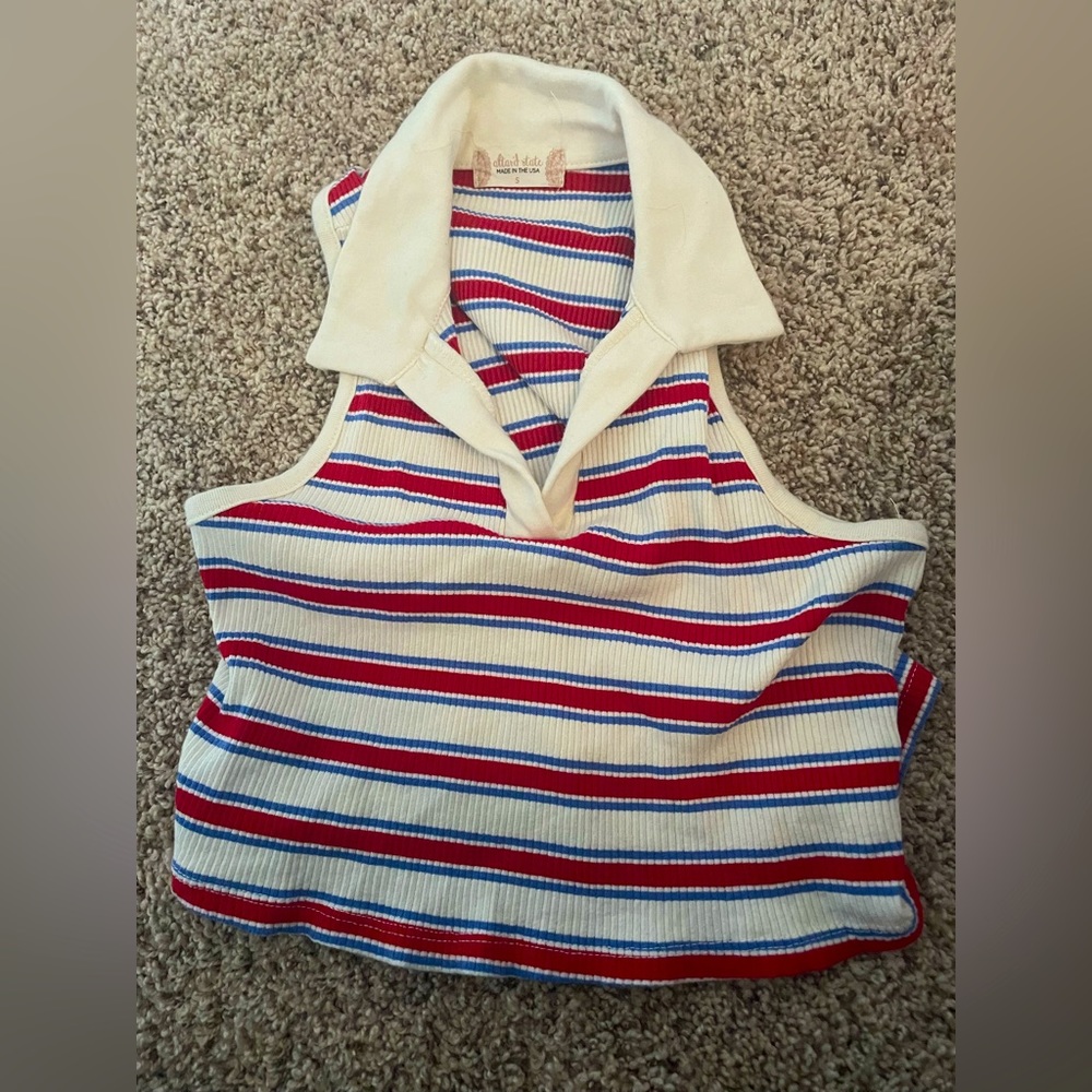 Altar’D state stripped crop top